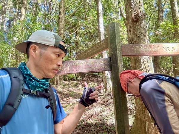 20251014雪見遊憩區 🚴‍♂️咖搭車走司馬限林道上東洗水山兩刷北坑山至大板根2916400