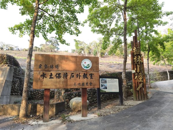 東勢林場森林浴場步道3019118