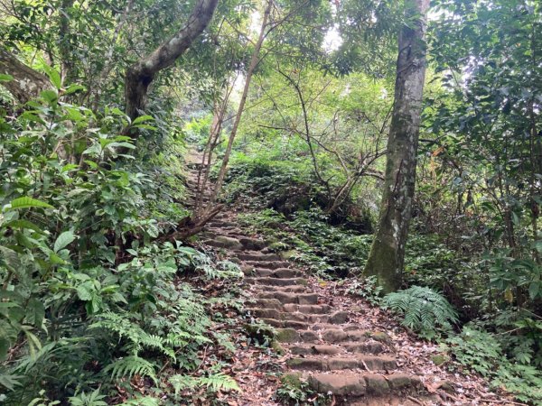 五指山登山步道2293204