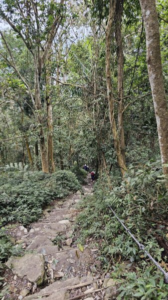 250105-七衝魔王小百岳#073尾寮山。開春第一走，最愛仍是你。2697977