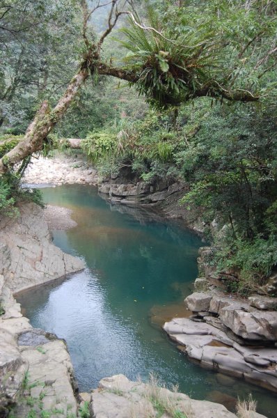 坪林金瓜寮溪步道1957852