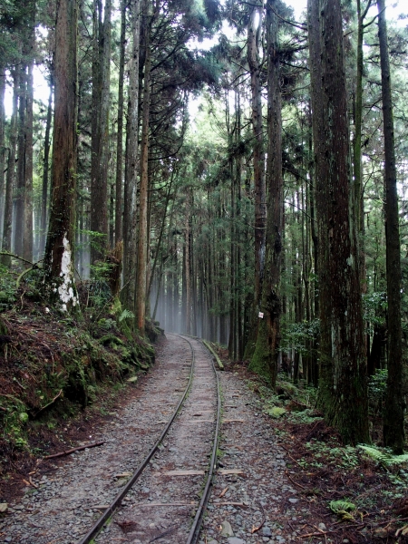 特富野古道90530