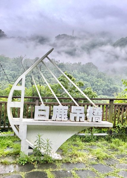 雨下的白毛山步道與白鹿吊橋封面