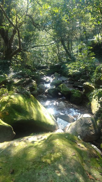 春天鮮綠的呢喃基隆荖寮坑古道上望古山登五分山O型2747338