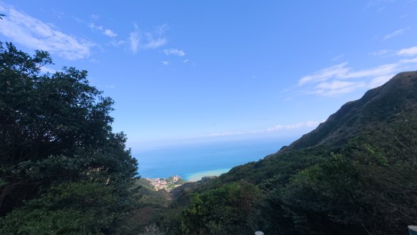 黃金三稜賞芒花