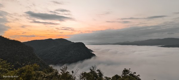 #翡翠水庫壩頂 #月亮 #日出 #雲海 #藍腹鷴母鳥 5/8&133050272
