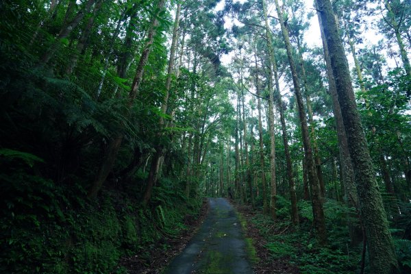 新北 新店 石碇後山、赤腳蘭山、暗寶劍山、鳥嘴尖2793474
