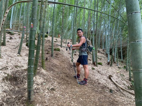 溪頭山-竹崙山-志騰山【夏日最愜意的避暑路線】2891495