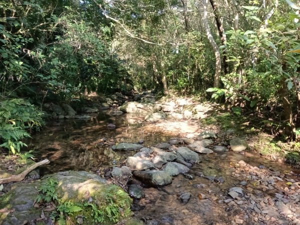 頭城鎮外澳車站+石空古道+太和山步道+蛇頭觀景台+象寮古道+烏山古道+外澳車站O型3018459