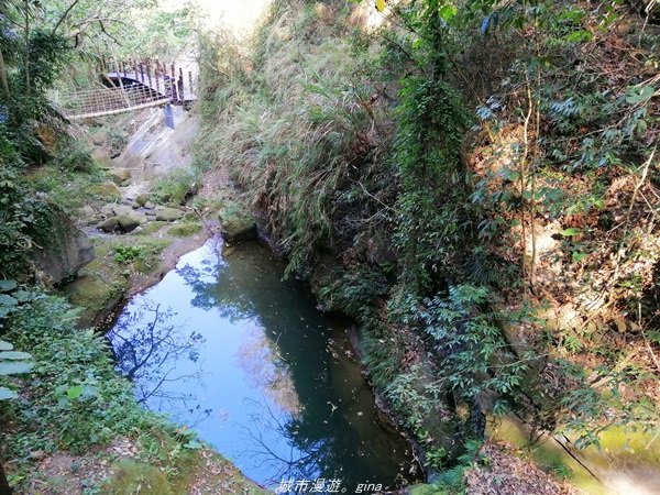 台中~仙氣繩橋山林環繞。 蝙蝠洞登山步道1295490