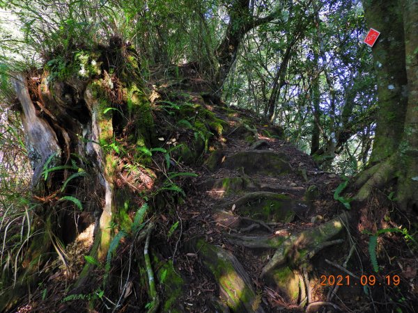 南投 竹山 鹿屈山前鋒、鹿屈山1462627