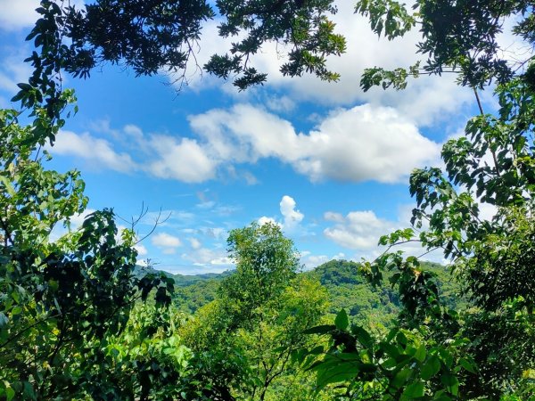 內湖郊山（鯉魚山+白鷺鷥山）（2023/9/23）2302539