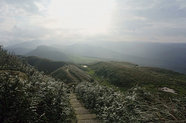 灣坑頭山 桃源谷步道 連走2034854