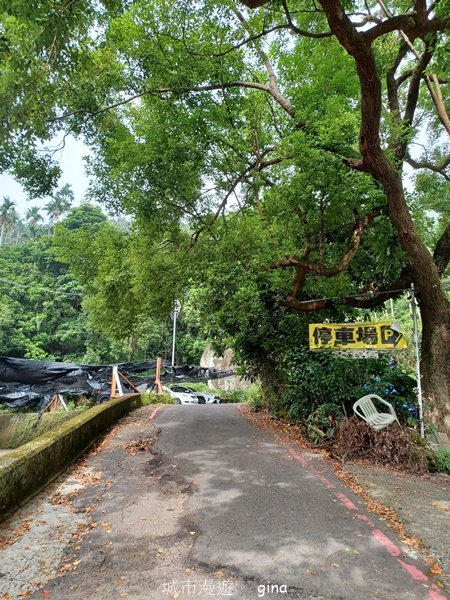 【嘉義竹崎】說好的稜線風景呢。阿拔泉山稜線步道連走獨立山O繞2684121