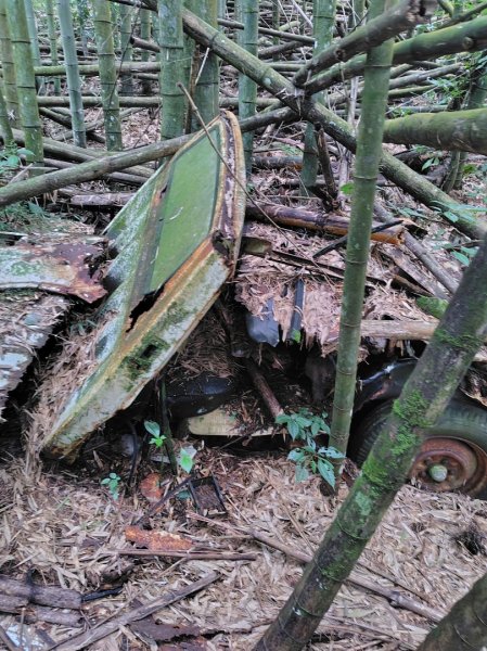 長壽山、肥崠山、醜崠山、大崠山、大崠山經建版2931542