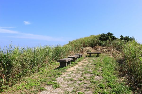 瑞芳南子吝登山步道204896