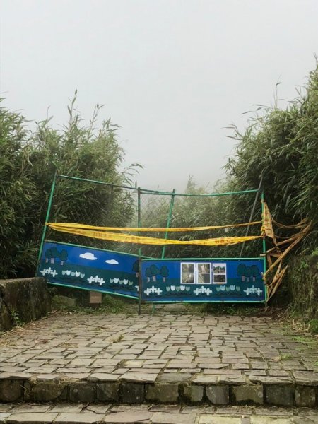 2018-10-25七星山東峰登山步道444004