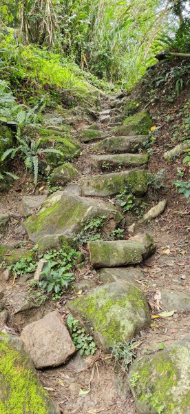 2026-0307 造鎮-文筆山-天華山-南勢角山-蘭花亭-牛伯伯3015875