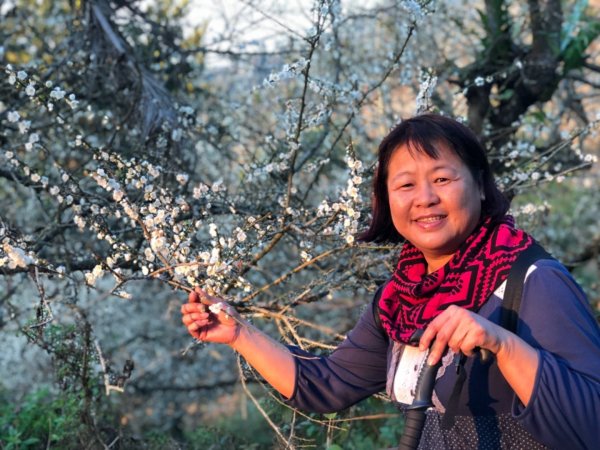 竹子尖山到獵鷹山473247