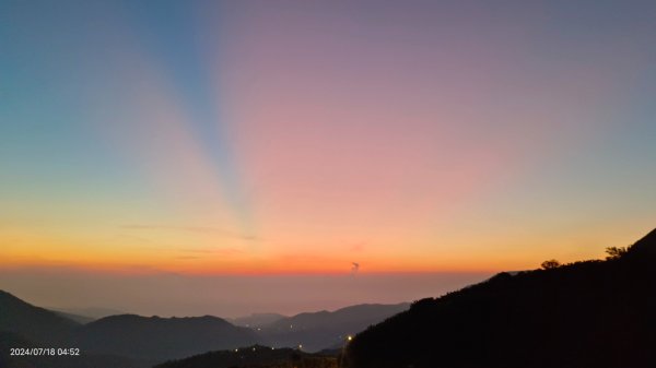 雲山水花鳥蝶 - 天龍國阿伯的日常7/18 & 21、22、292553959