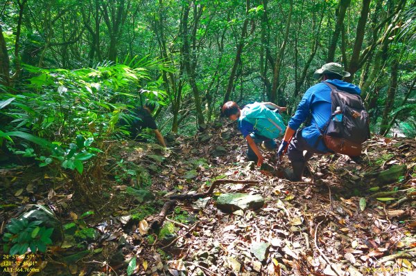 芒裡偷閒-大嶺古道飛越桃源谷1155257