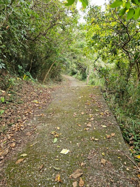 女仍山-小百岳#79-屏東縣獅子鄉2732094