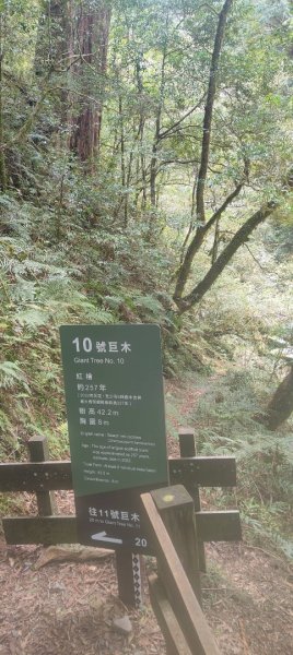 拉拉山國家森林遊樂區2752231
