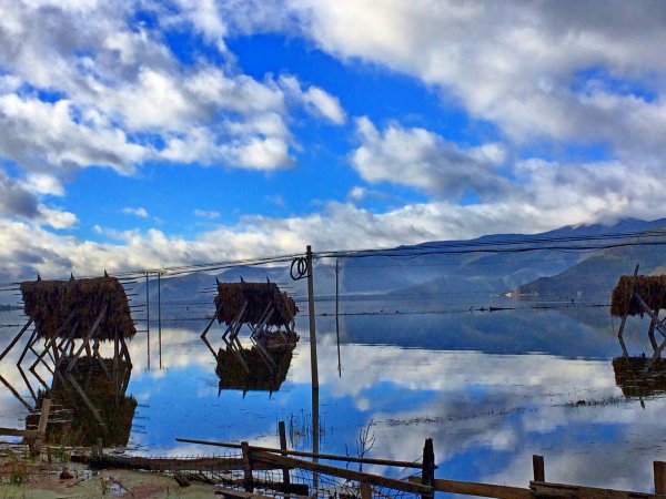 納帕海、金沙江大轉彎、白馬雪山埡口、飛來寺468016