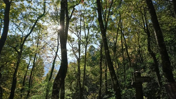 霞克羅古道 106.12.10(日) 