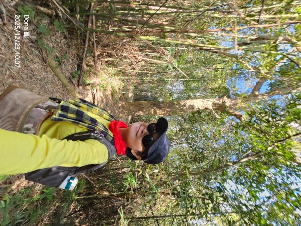 20251223芎林文林古道O走+雞寮坑山+芎林顯伯公野餐2975935
