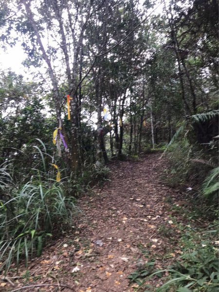 埔里六秀、中部四大名山:守城大山         隊名:鯛魚燒埔里訓練1506122