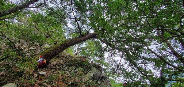 谷關七雄_馬崙山_八壯士上松媽媽下2306673