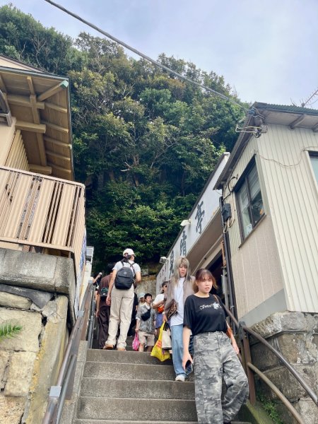 1150816 JP 藤澤市江之島3111247