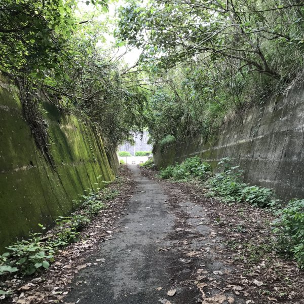 [基石] 花蓮山 七七高地 賞海景山景893541