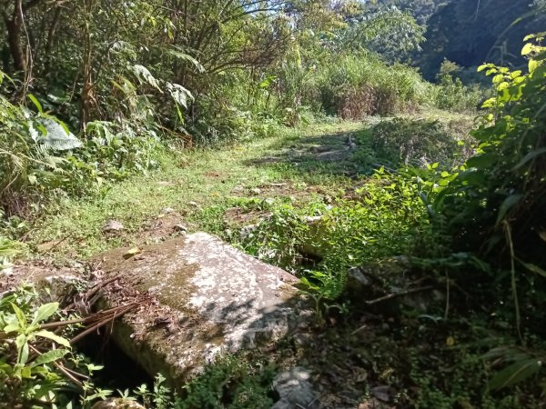 雙溪區內盤山坑古道+石硿子越嶺古道+盤山坑古道+過火坪古道O型2914351