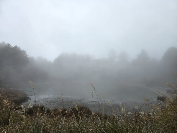 大雪山國家森林遊樂區賞楓／看神木／賞雪白山頭／賞大景2974312