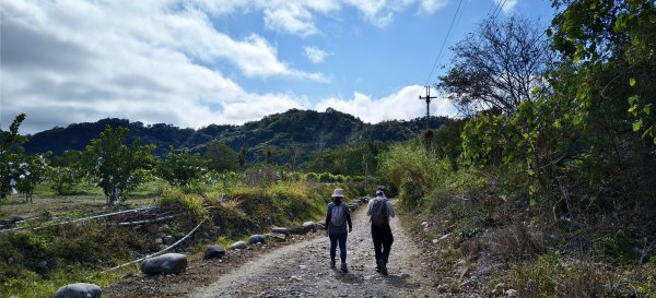 2026/01/01_大安溪峽谷步道2978110