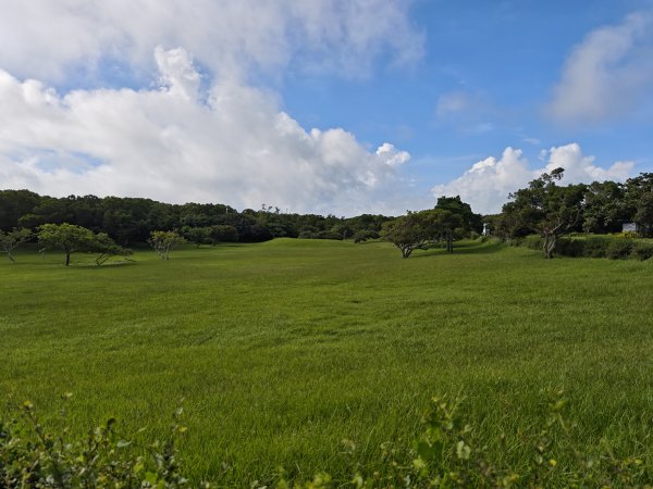 [百山百鳥尋旅-02/15] 2025_0809 社頂自然公園步道2856882