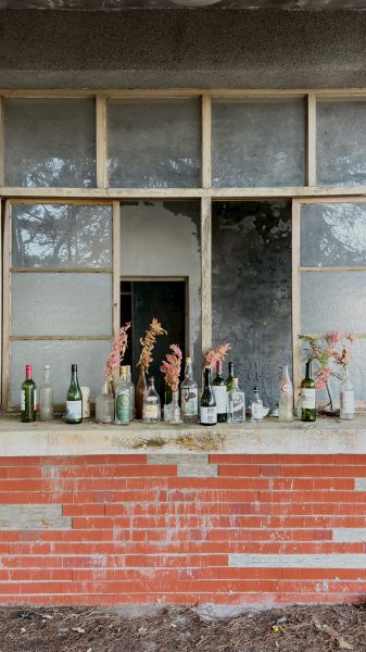 2025.11.30 西巒大山2952303