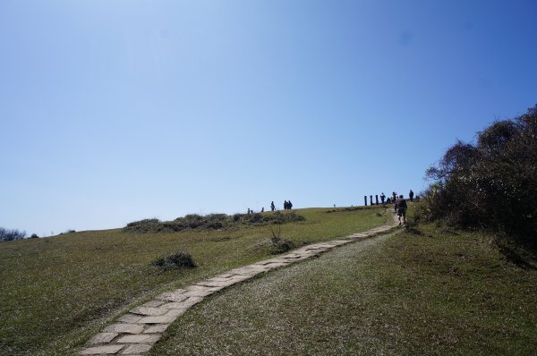 風擎步道(風櫃嘴至擎天崗)2059163