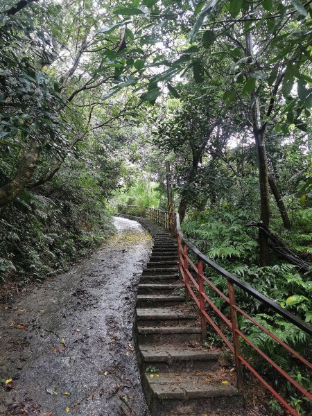 雨中漫步北部山岳-二格山、土庫岳、象山道1136703