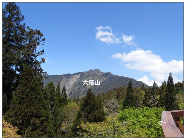 大塔山 (小百岳最高峰)封面