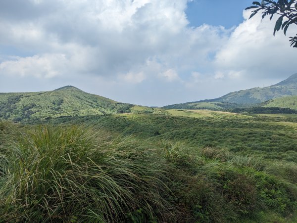 頂山石梯嶺步道2282537