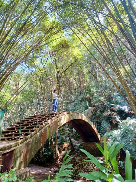【南投魚池】澀水森林步道2933046