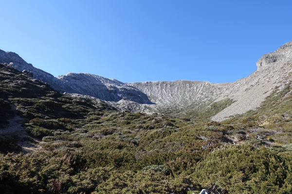 1051216~19雪山主東北下翠池80655