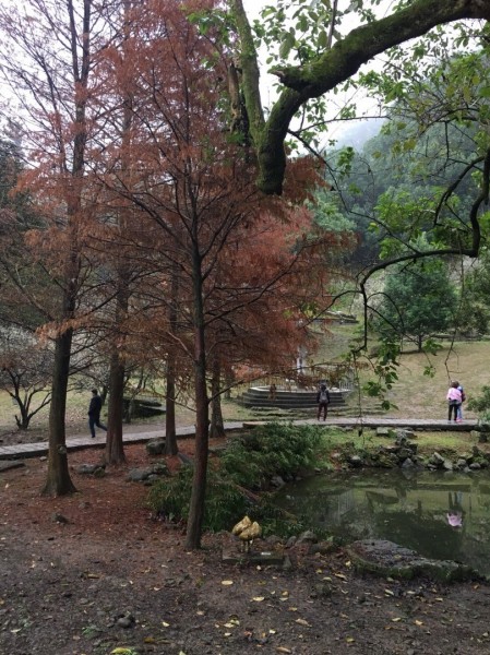 石門水庫楓紅層層240558