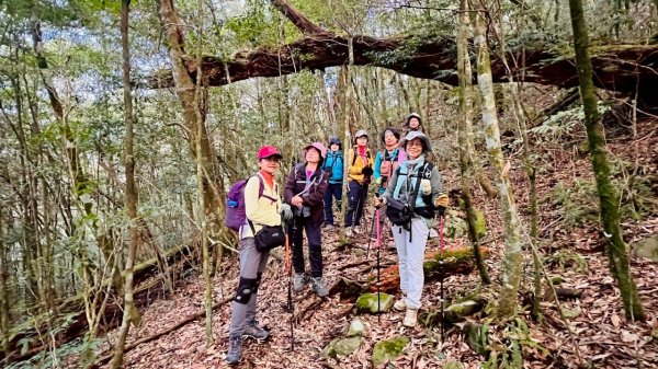 🌈3/7（六）谷關七雄波津加~大雪山進谷關出✨FB：熊熊趴爬走🌈3011479