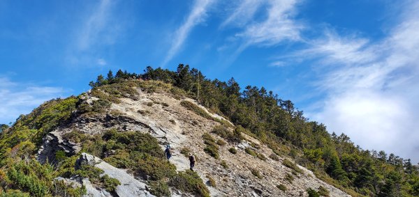 南橫_關山嶺山縱走溪頭山之艱硬路線之美2463276