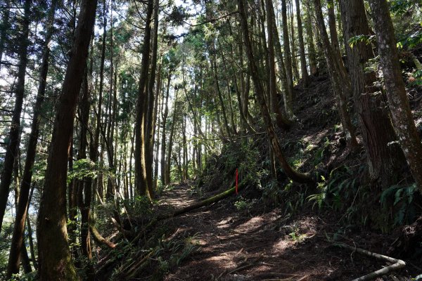 台中 和平 馬崙山2796962