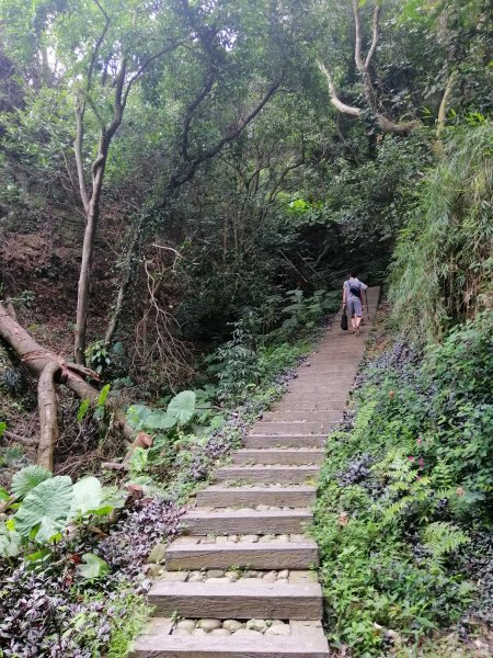 彰化社頭~清水岩步道群~18彎挑鹽古道1002551